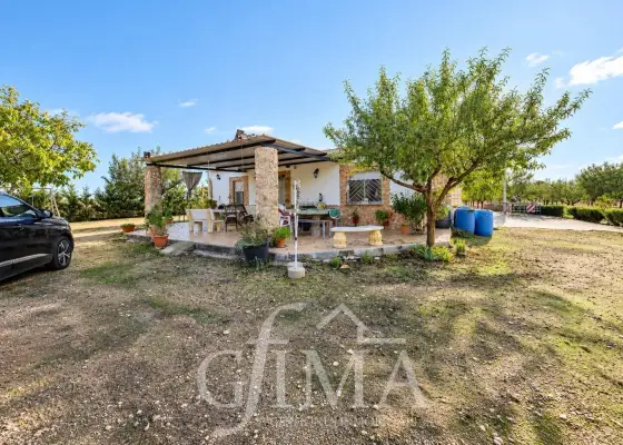 Chalet con finca de 1,7 hectáreas de almendros en producción entre Tomelloso y Argamasilla de Alba