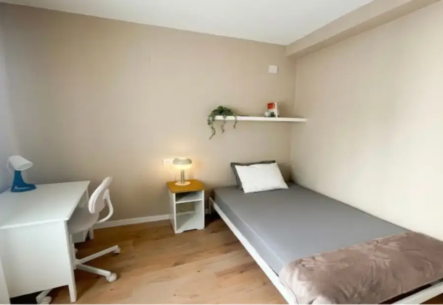 Habitación en piso compartido de 1 dormitorio en alquiler en Carrer de les Barques, Alicante, ideal para estudiantes. Se permite la domiciliación. en Alicante (Alacant)