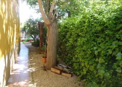 Venta de adosado con patio en zona del rio muy bonito y luminoso en Manzanares