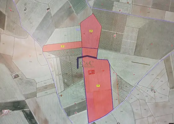 venta de finca rústica en Daimiel, Periferia de daimiel